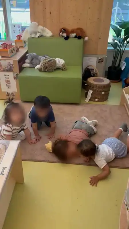 story_video_8UUswV3HXWzAznZREFz1WDviRd_original 游走在镜头外 不能很好参与 但它自己在家玩得好开心 
date: 2025-06-23