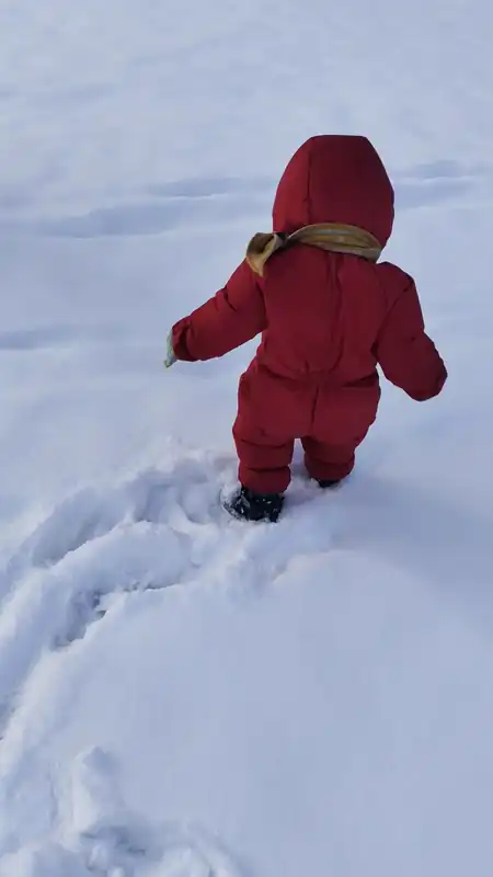 很深的雪地里黄车车走路 
date: 2025-01-10
