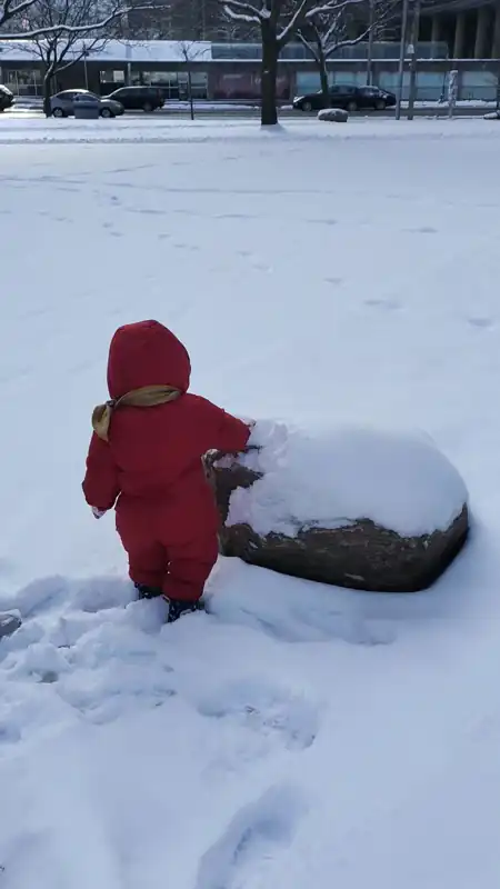 拍石头上的雪 
date: 2025-01-10