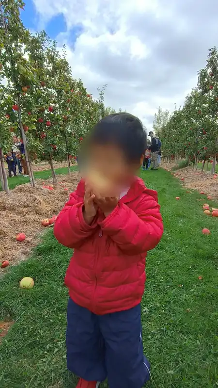 在苹果地里吃苹果 
date: 2025-09-19