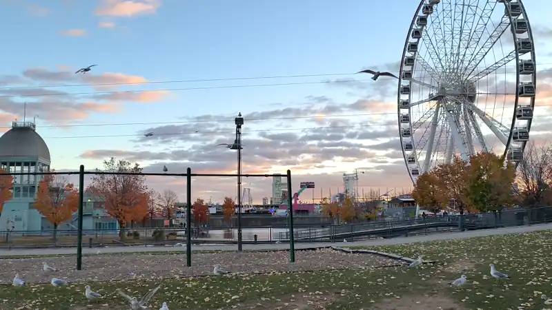 montreal oldPort playground 荡秋千 
date: 2025-10-15