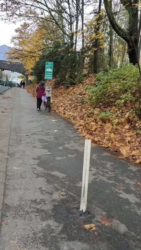 vancouver stanley 走错路了 走到中间的公路上了 
date: 2025-10-29