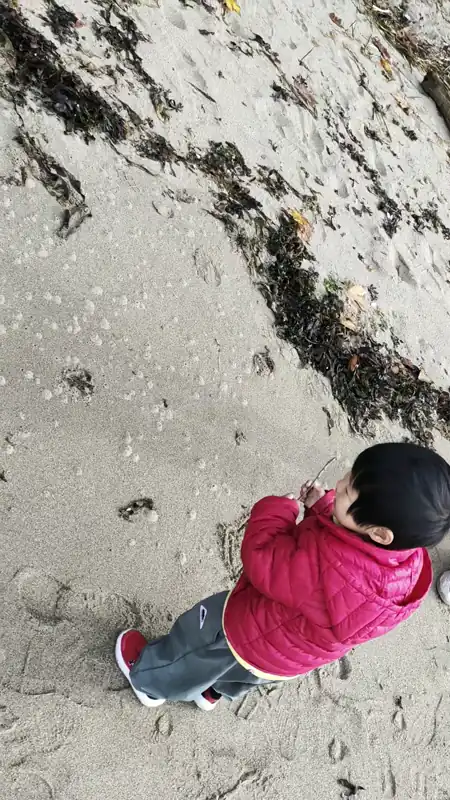 vancouver stanley third beach 黄车车和妈妈在沙滩上戳泡泡 画画 
date: 2025-10-29