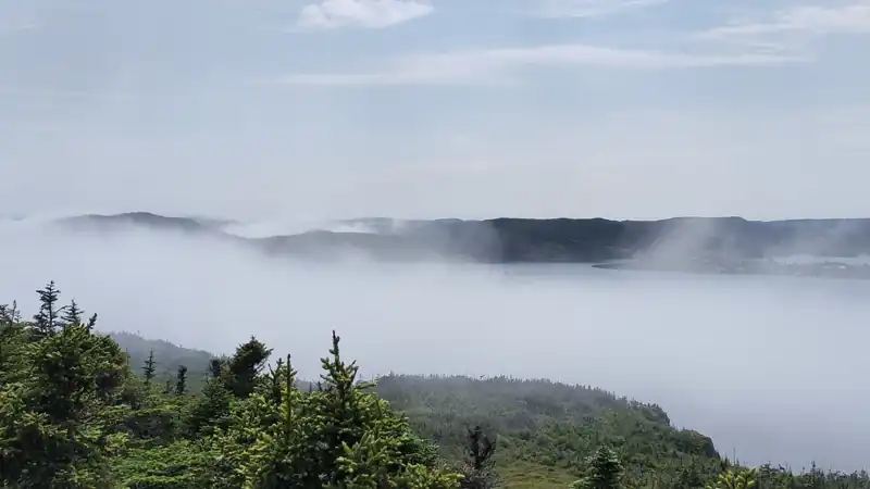 skerwink lookout 看到的大雾与绿意 
date: 2025-07-04