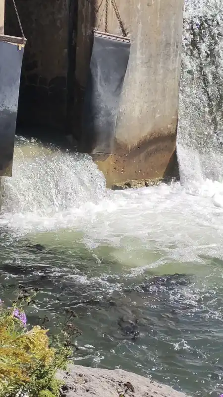 salmon jump 关于 jump 的对话 
date: 2025-09-20