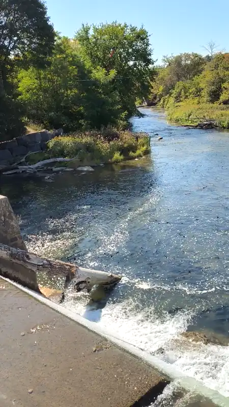 port hope salmon 下游巡游 
date: 2025-09-20