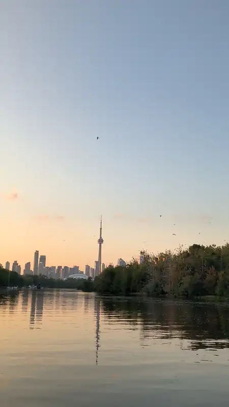 toronto island 鸟岛记录 by 好好 
date: 2025-06-22