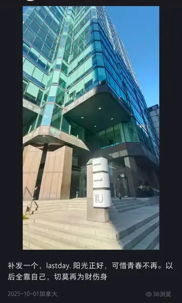 Last day 小红书记录截图